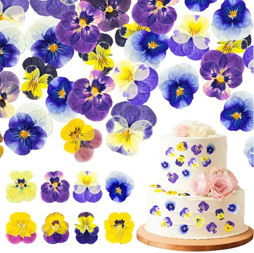 Celblisora 96 pièces Fleurs Violettes, séchées naturellement, pressées, comestibles pour décoration de gâteau, Cocktails, Fabrication de Bijoux en résine, Artisanat DIY