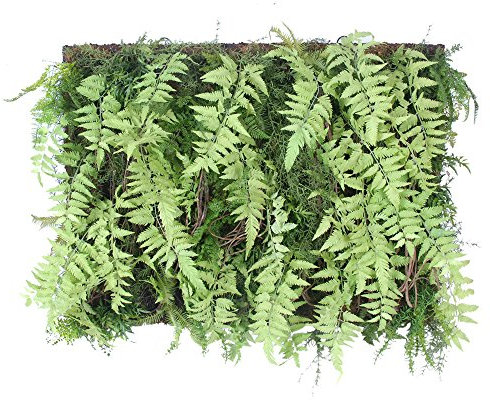 Pomax Deko-Objekt Wanddekoration Bild aus Farn und Moos - Maße: 75 x 100 cm
