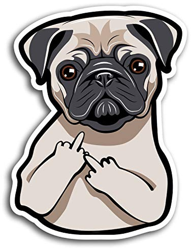 2 x 10cm Funny Rude Pug Dog Joke Vinyl Stickers - Sticker Laptop Luggage #19414 (10cm Tall)