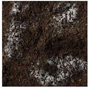 TERRICCIO SUBSTRATO per Piante GRASSE - Piante grasse Speciale Mix di Torba Sabbia e Breccia drenante con PH Neutro per Cactacee e succulente piate grasse in Generale - 4L