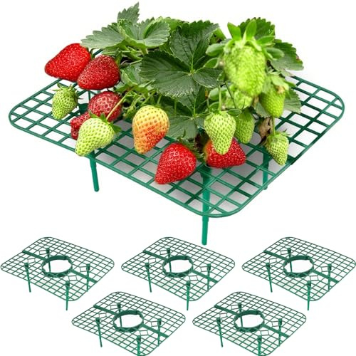 OIOYLEY 5 piezas de protección para fresas de fresa accesorios fresas caracoles guardabarros fresas accesorios de jardín rejilla fresa protección contra caracoles / protección contra la putrefacción