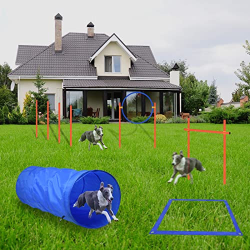 AufuN Agility Ausrüstungs Set für Hunde, Training Hindernisse mit Hundetunnel,Geflochtene Stangen, Springring, Hürdenstange, Verstellbare Höhe, Konische Fässer inkl. Tragetasche (Blu+ Orange)