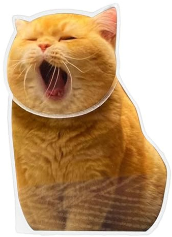 Wackelkopf-Katze | Schüttelkopf-Ornament für Auto-Armaturenbrett | Niedliche Acryl-Katzen-Armaturenbrett-Dekorationen für Auto- und Desktop-Display Auto-Armaturenbrett-