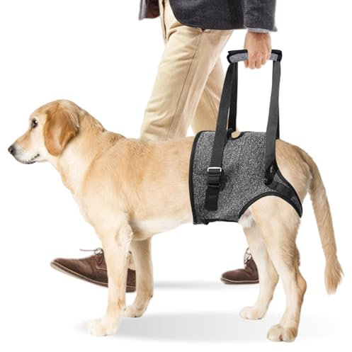 PORFOYO Harnais De Levage Pour Chien, Réglable, Avec Poignée, Soutien Pour Pattes Arrière, Pour Chiens De Petite, Moyenne Et Grande Taille Blessée, Gris Foncé, Taille S