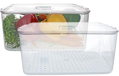 2friends Kühlschrankbox Set 2-teilig, Frischhaltedose mit Deckel und Abtropfgitter, 33x21,5x14,5 cm, transparent, BPA-frei, stapelbar, Aufbewahrungsbox für Gemüse und Obst