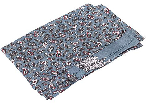 WANYING Edler Seidenschal für Herren 100% Seide 11 Momme Herrenschal Schaltuch Doppelseite für Frühjahr Sommer Herbst Casual Business 155×26cm