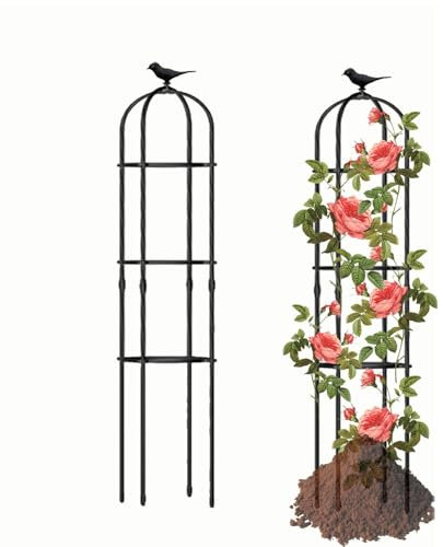 1Stk Obelisk Metall Pflanzenstütze Anti-Rost Rankobelisk mit Vogelkopfschmuck Rankhilfe Rankgitter für Rosen & Kletterpflanzen Hoch 120cm 150cm 160cm 180cm 190cm (Color : Black, Size : 31x120cm(12.2