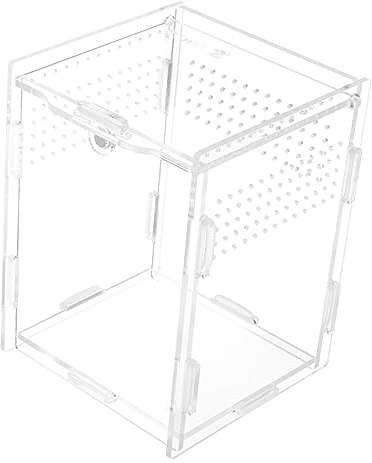 Gatuida Reptilien Zuchtbox Transparente Terrarien für Reptilienhaltung Sicht mit Belüftungslöchern für Fütterung und Zucht von Reptilien Einfach zu Reinigen