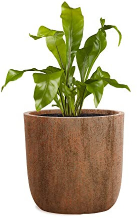 Pflanzwerk® Jardinera Fibra de Vidrio Cup Ø27cm Marrón Oxidado *Maceta a Prueba de heladas* *Protección UV* *Calidad Europeo*