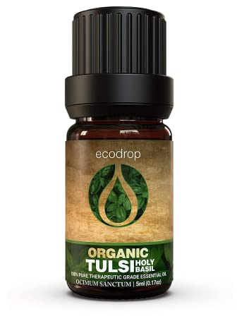 Ecodrop Organic Tulsi (Holy Basil) Essential Oil 5ml | Ocimum Sanctum | 100% pure Tulsi (Holy Basil) oil. Aromatherapy, diffuser, massage, bath, soap & candle making. Bottled in the UK