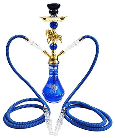chicha Cheval Arabe Ensemble de Narguilé, Tuyaux D'eau Acier & Chicha en Acrylique, Bol À Narguilé Deux Tuyaux pour Fumer