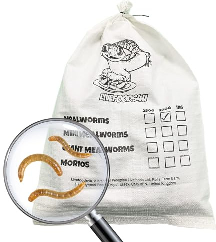 Livefoods4u Live Mealworms 250g Bag 20-30mm | High Protein Reptile Food
