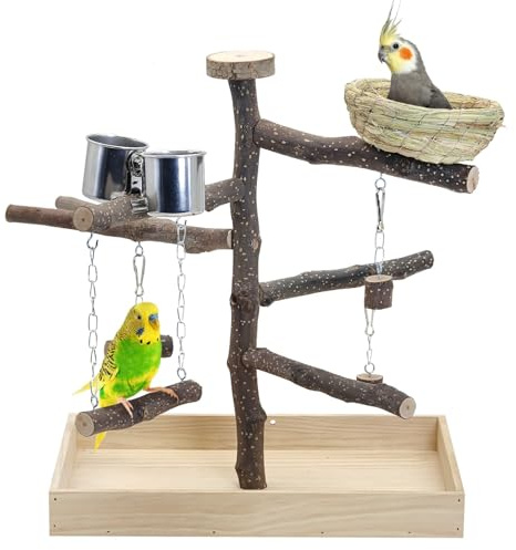 Apatal Parco giochi per uccelli in legno naturale per allenamento e gioco, supporto per pappagalli con nido per uccelli e mangiatoia in acciaio inox, supporto per parrocchetti, calopsitte, conuri