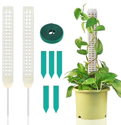 Voyyphixa Monstera Rankhilfe Moosstab Pflanzstab Monstera Stab Pflanzenstab Monstera für Kletterpflanzen Moss Pole Rankhilfe Zimmerpflanzen mit Pflanzenetiketten und Drehbändern