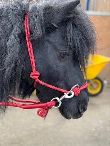 Cavezza in corda con redini per l'utilizzo di Bitless Horse Riding Full to Mini Shet 5 colori (Rosso, Full)