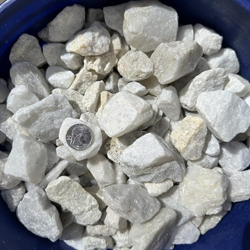 11 Pounds of Big Dolomite Stones 1 to 3 Size, White Rocks Gravel Pebbles for Landscaping, Terrariums Aquariums, Gardens, Pond Water Features, Flower Beds Pots, Decorative Crystal Walkways. 11lbs
