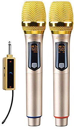 Microphone Dynamique sans Fil, système de Micro sans Fil Rechargeable avec Mini récepteur Portable et 2 Microphones à écran LED Portables, Haut-parleurs universels pour soirées karaoké (doré)