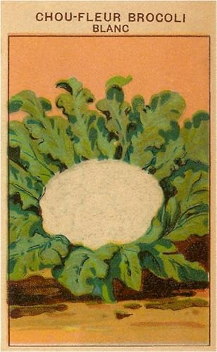 French Cauliflower Broccoli Seed Packet - Vintage Image