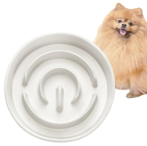Ceramic Slow Feeder Dog Bowl for Small Breed, Dog Slow Feeder Bowl for Fast Eaters, Slow Feeder Cat Bowl, 14oz, Ivory White