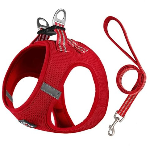 Lalazoo Miami Hundegeschirr Step-in – No-Pull leicht & atmungsaktiv gepolstert & reflektierend verstellbar mit Doppel-D-Ring & Sicherheitsverschluss für kleine Hunde Welpen inkl. Leine – Rot, XS