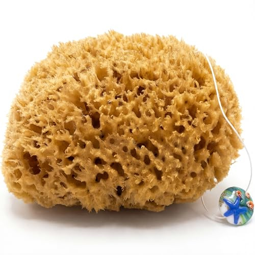 tom&pat® Naturschwamm Honeycomb · ungebleichter Badeschwamm (17-18 cm) | Dermatest „sehr gut“ · mit Kordel & Glasanhänger zum Aufhängen · saugt enorm viel Wasser · spart Duschgel · sanftes Peeling