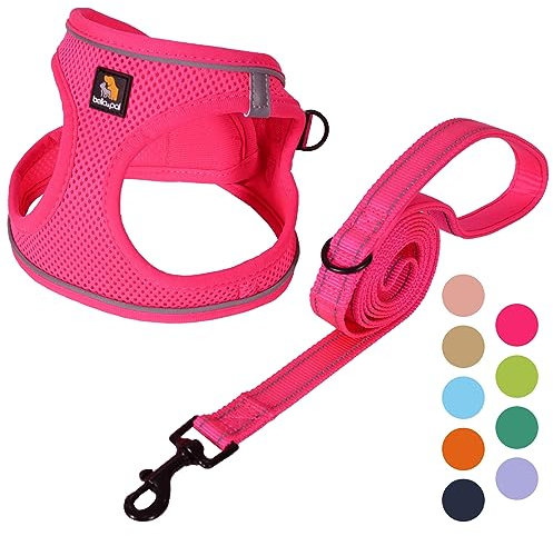 BELLA & PAL Hundegeschirr Kleine Hunde mit Leine, Step-in Geschirr aus Air Mesh, Anti Zug Reflektierend Atmungsaktiv Brustgeschirr, Welpengeschirr für Kleine Hunde, Katzengeschirr, Heißes Rosa, S