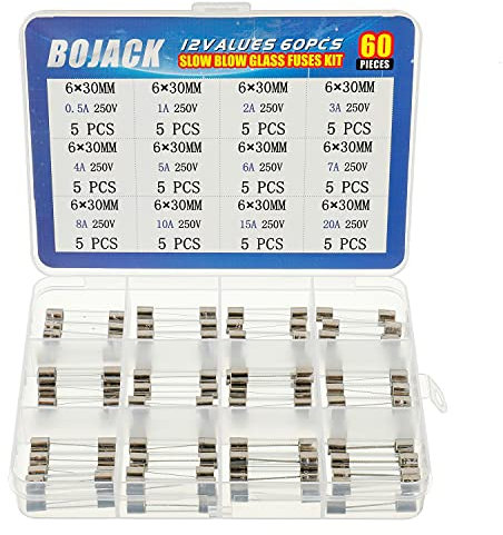 BOJACK 12 Values 60 Pcs Slow Blow Glass Fuses Assortment Kit 6x30 mm 250V T 0.5A 1A 2A 3A 4A 5A 6A 7A 8A 10A 15A 20A packag in a Clear Plastic Box