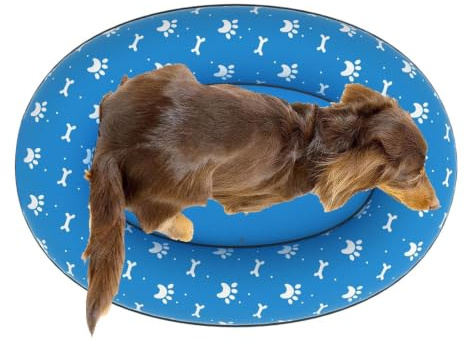 Dog Pool Float | Foldable Puppy Bathing Tub | Blow Up Puppy Raft | for Pet Parents Animal Lovers Trainers Lake River Beach Vacation Backyard Garden Yard Park Club
