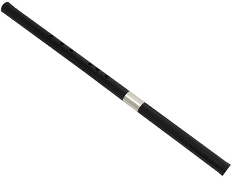 Toddmomy Chinesische 8-loch Xiao Flöte Aus Rosenholz Zwei Stück Für Anfänger Vertikales Blasinstrument Mit Holzmaterial Inkl Transportbox Für Traditionelle Musik Und Geschenk
