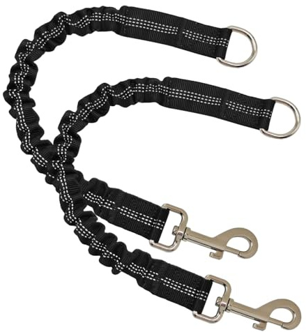 Porgeel Laisse élastique pour Chien 2 pièces Extensible Robuste en Nylon Amortisseur de Chocs Laisse d'entraînement pour c