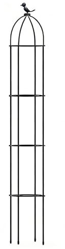 Traliccio per Piante in Vaso - Decorative Antiruggine per Sostenere Piante | Supporto per Monstera | Per Pomodori, Cetrioli, Uva, Clematide, Ortaggi, Frutti, Esterno, Interno, Patio,