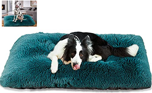 Plüsch HundeBett Hundesofa, Orthopäisches Waschbare Hundebetten, für Kleine Mittlere Große Hunde, rutschfest Weiches Hundekorb Hundekörbchen- Cyan|| XXXL (122×85×12cm)