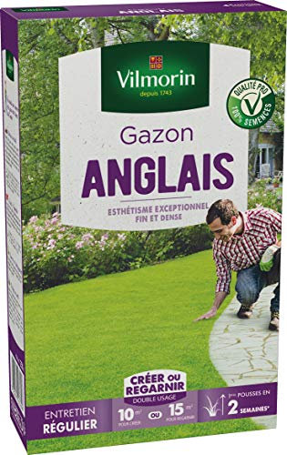 Vilmorin Gazon Anglais Boite 250 g, Vert