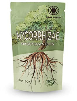 R&R SHOP – Natural Mycorrhizae, Invigorates and Strengthens the growth of Plants and Roots – 50GR Allowed in Organic Agriculture
