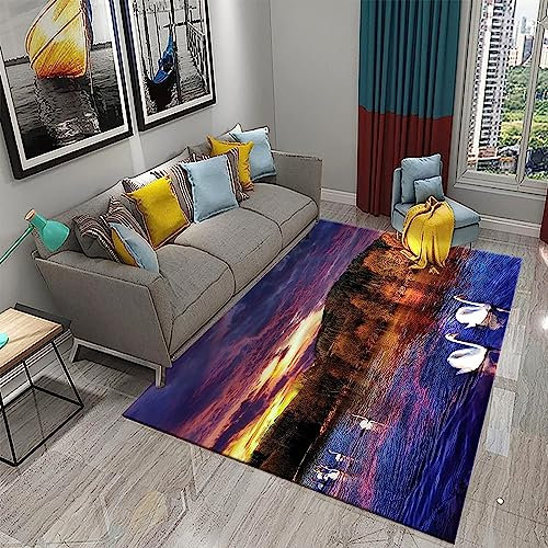 3D Bunte Wolken, Seeblick, Weißer Schwan Kinder Jungen Teppich Schlafzimmer Dekorativ Kinderzimmer Wohnzimmer,Matten Krabbelmatte Modern Weichem Flanell Kinderteppiche Waschbar 70,8 X 110,2-4O8Y/C6G