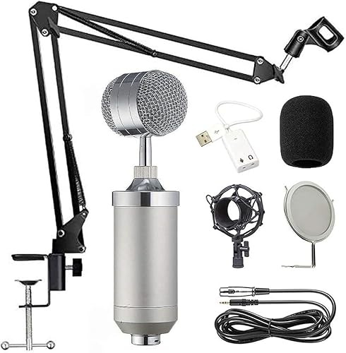 ELzEy Kit microfono a condensatore Microfono for canto Comodo karaoke Gioco Chat Registrazione Microfono Computer