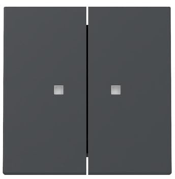 Gira 363128 Wippe 2f Kontrollf. System 55 Anthrazit