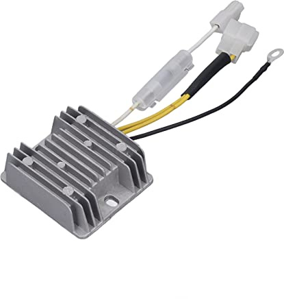 Halearo Stabilizzatore di tensione del generatore monofase, grande stabilità DC 12 V 186F, cavi