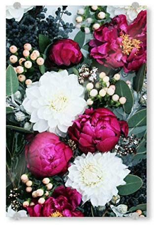 artboxONE Acrylglasbild 150x100 cm Natur Fuchsia Peony Artwork Bild hinter Acrylglas - Bild Fuchsia Blumen Botanical