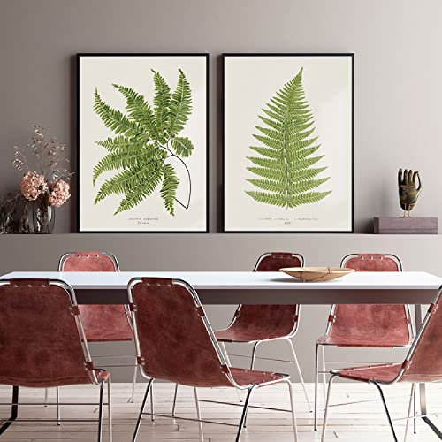 OTURRI Vintage botanischer Posterdruck Farn minimalistisches Laub Wand Bilder natürliche Blätter Leinwand Gemälde Wandbild Wohnzimmer Küche Wohnkultur 40 x 60 cm x 2 ungerahmt