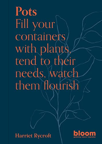 Pots: Fill your containers with plants, tend to their needs, watch them flourish (Bloom)