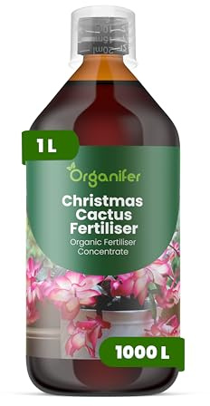 Fertilizante Líquido Orgánico 1L Para Cactus De Navidad – Fomenta Una Floración Invernal Abundante – Organifer