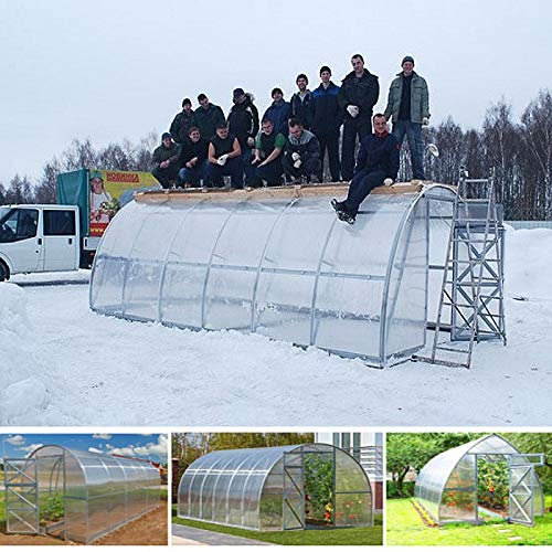 Invernadero policarbonato túnel 3 x 6 m reforzado huerto jardín plantas invernaderos Box 6 x 3 m cenador caseta Prime