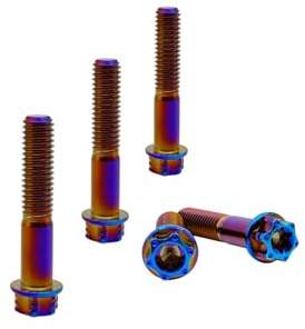 RISON-Titanium Lot de 5 Boulons en Titane M10x1.25x55mm, Vis à Bride Torx, Vis à Tête Cylindrique Filetées Dual Drive, Boulons Fixations en Alliage de Titane GR5 pour Moto, Vélo, Voiture