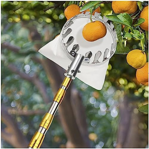 DXDRT Obstpflücker Teleskop, 6M Obstsammler Apfelpflücker mit Edelstahlstange&Baumwollbeutel, Praktischer Erntehelfer Leichter Obsternter für Apfel,Birne,Zitrone,Orange und mehr Früchte,Gold