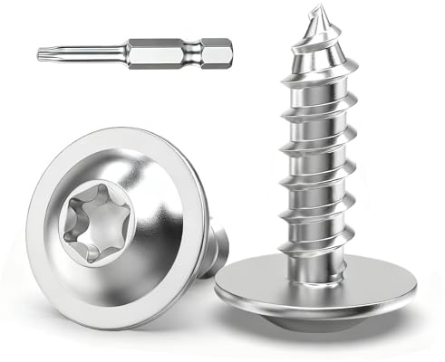 Dayalo 120 Stück Blechschrauben M3,9 x 13 mm Torx, Linsenkopfschrauben Holz | Tellerkopfschrauben, Selbstschneidende Schrauben M3,9 Edelstahl A2 V2A für Blech, Akustikpaneele und Holz