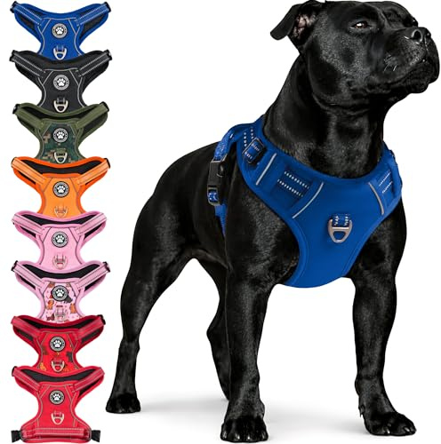 Reichstadt Pets hundsele 25RSP083 Blue L