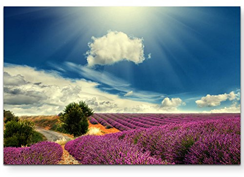 Leinwandbilder | Bilder Leinwand 120x80cm Lavendel Felder bei blauem Himmel