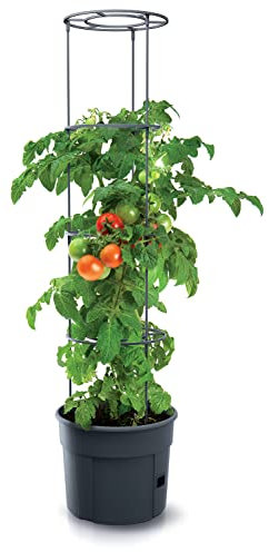 Spetebo Pot de tomates rond avec tuteur - 153 x 29 cm - Aide à la croissance avec fond d'arrosage intégré - Tour de plantation pour plantes grimpantes - Hauteur réglable sur 4 positions