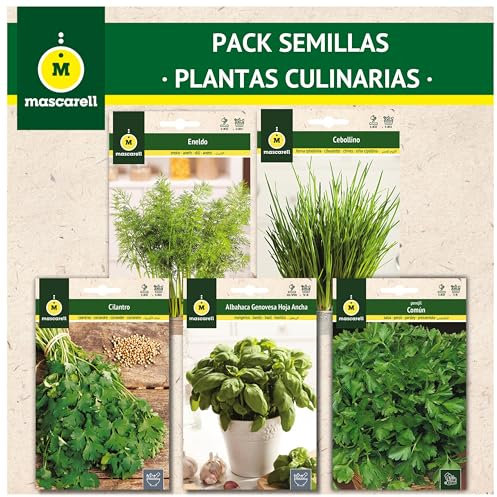Mascarell Semillas, PACK SEMILLAS PLANTAS CULINARIAS, Kit Huerto en Casa, Fácil de Cultivar, Contiene Perejil, Cilantro, Cebollino, Albahaca y Eneldo